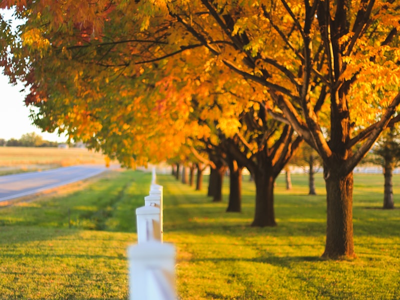 Autumn — time to prepare for winter