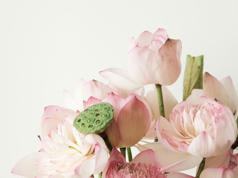 Spring — time to prepare your car for summer